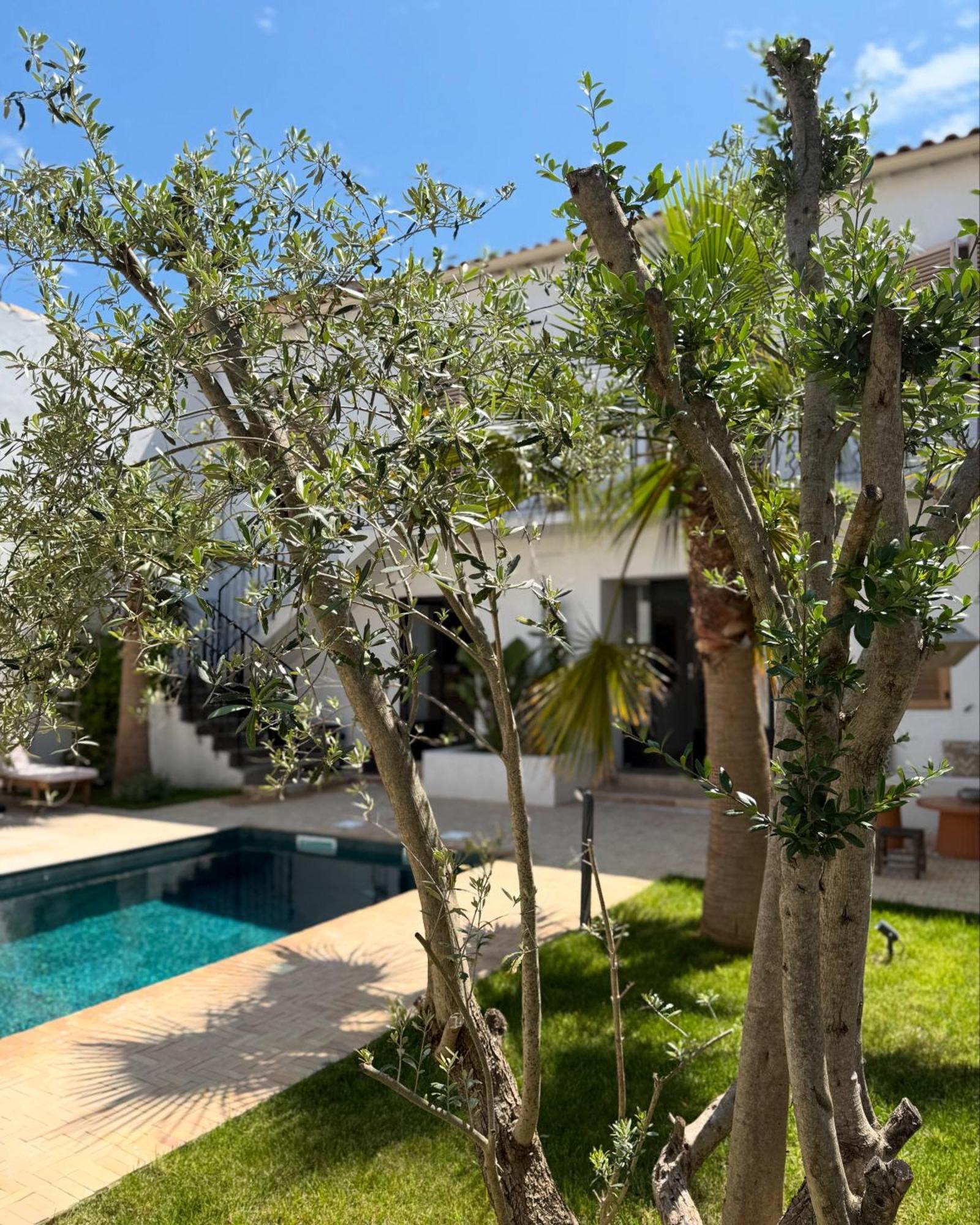 La Maison De Ville - Piscine - Spa Sète Exterior foto